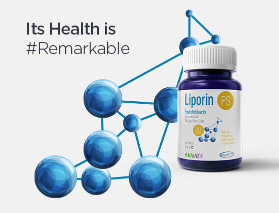 Liporin PS -
Its Health is in Remarkable Level